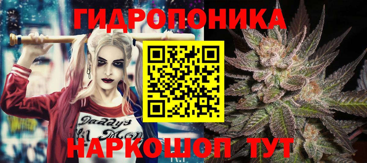 Конопля гибрид Кызыл